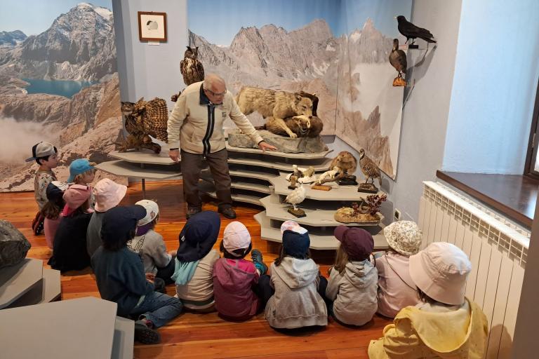 Gruppo di bambini visita una sala con animali del Museo Tazzetti