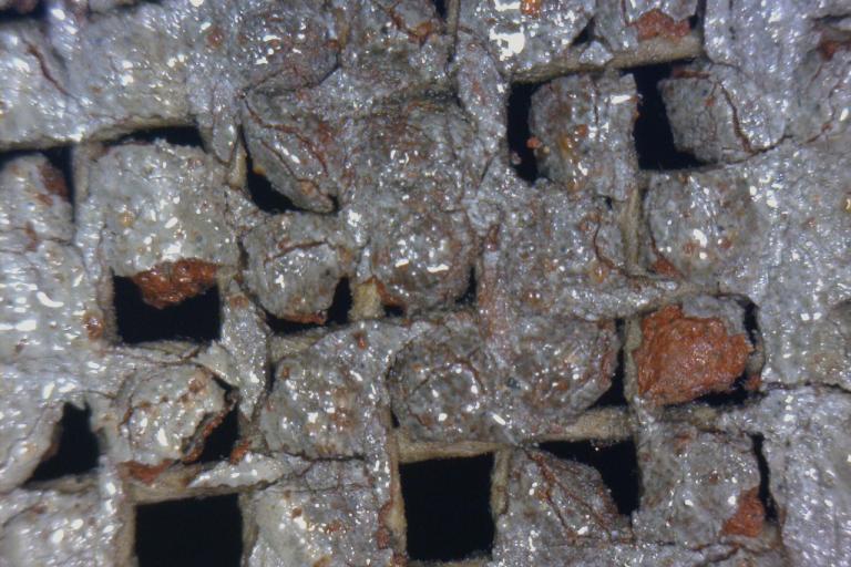 Osservazione al microscopio della tela dell'opera Adorazione dei Pastori