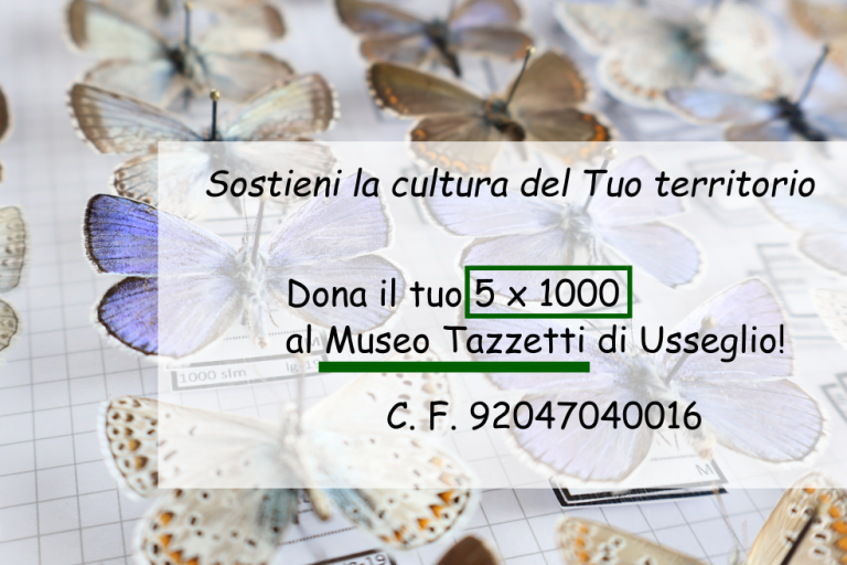 5 per 1000 2025