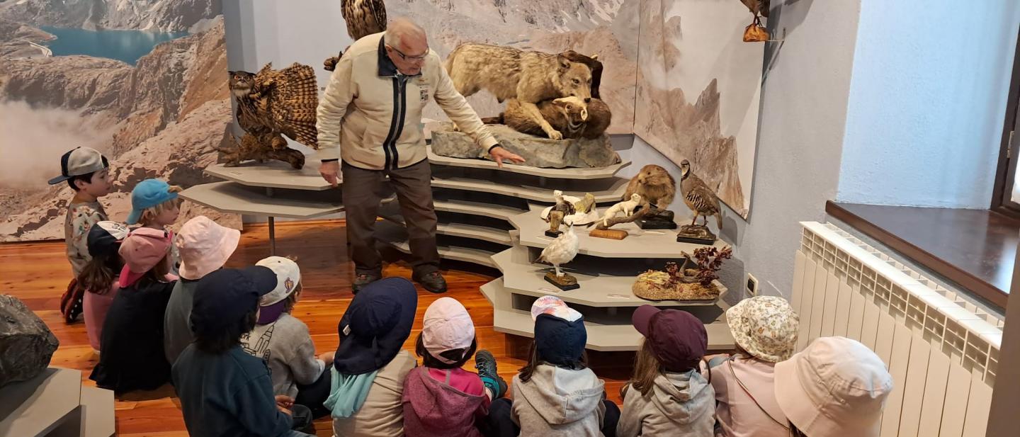 Gruppo di bambini visita una sala con animali del Museo Tazzetti