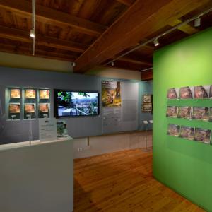 Biglietteria Museo